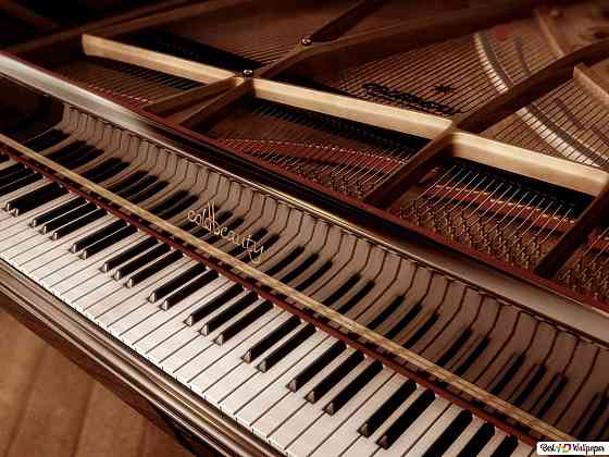Уроки фортепиано, сольфеджио, услуги концертмейстера Вупперталь