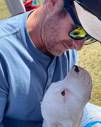 Dogo Argentino Welpen zu verkaufen Эрфурт