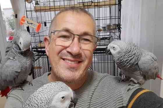 African Grey Parrots Магдебург