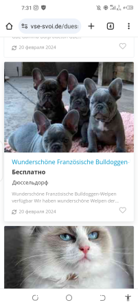 не покупайте щенков по этому адресу Берлин - изображение 2