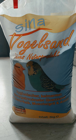 Unzertrennlicher Papagei (2 Vögel) | Попугаи неразлучники (2 Особы) Bremen - изображение 4